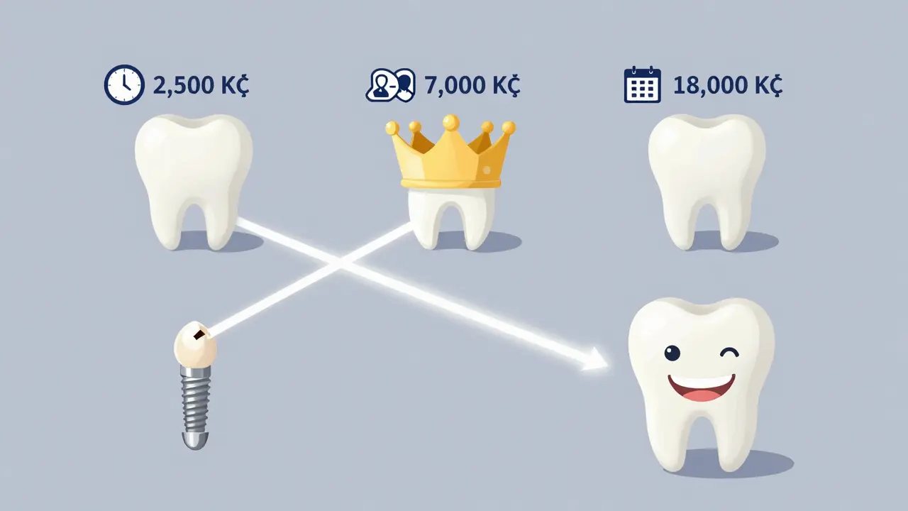 Vizualizace možností opravy ulomeného zubu s cenami a časem.